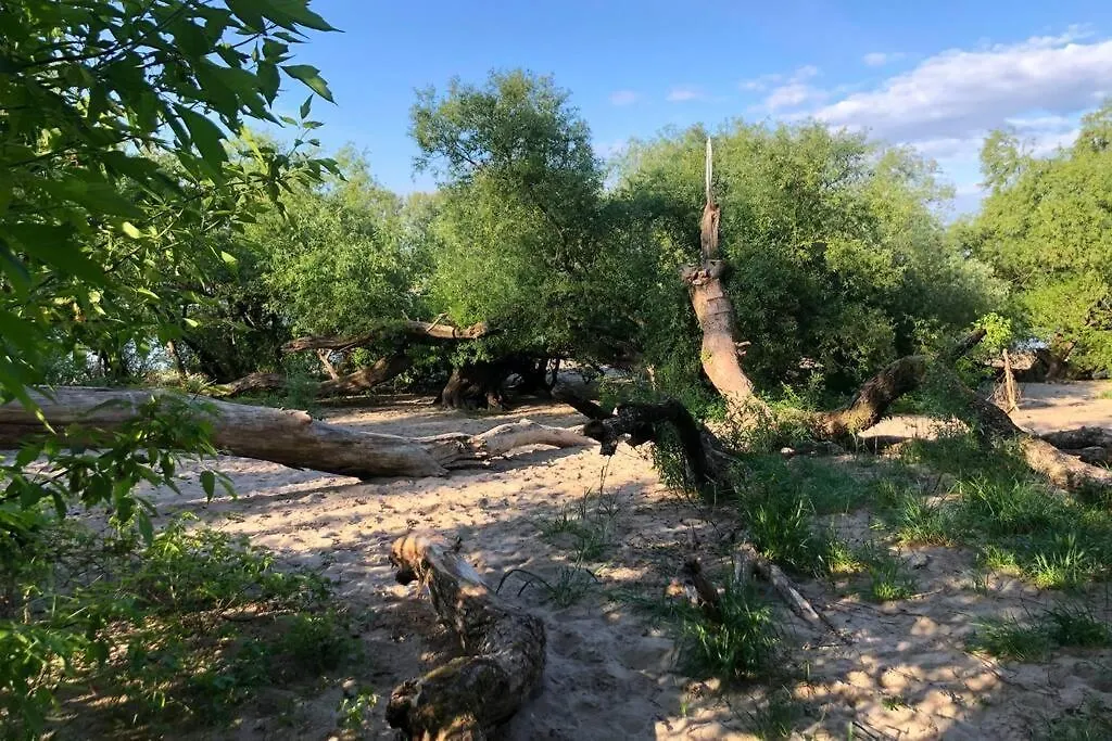 Idyllische Ferienwohnung Mit Rheinblick Cologne Germany