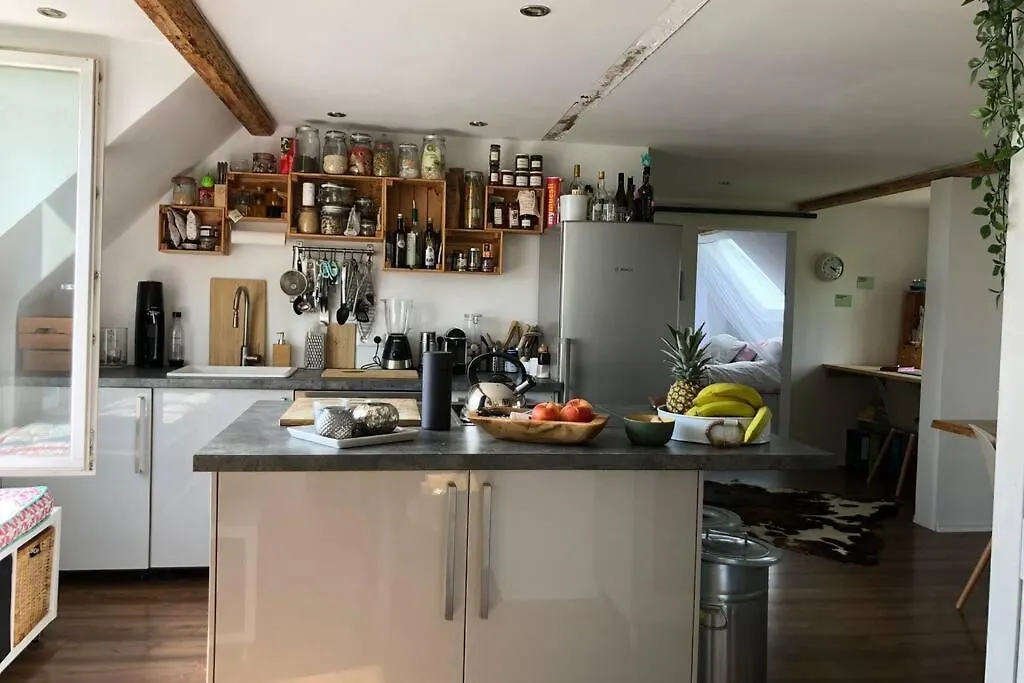 Apartment Idyllische Ferienwohnung Mit Rheinblick Cologne